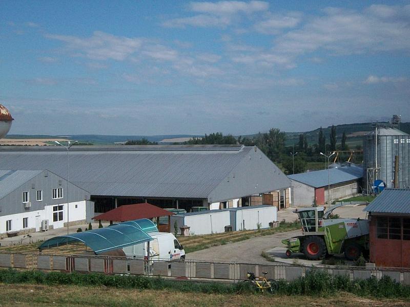 Кравеферма Камен