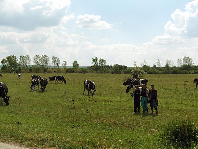 Горски Сеновец