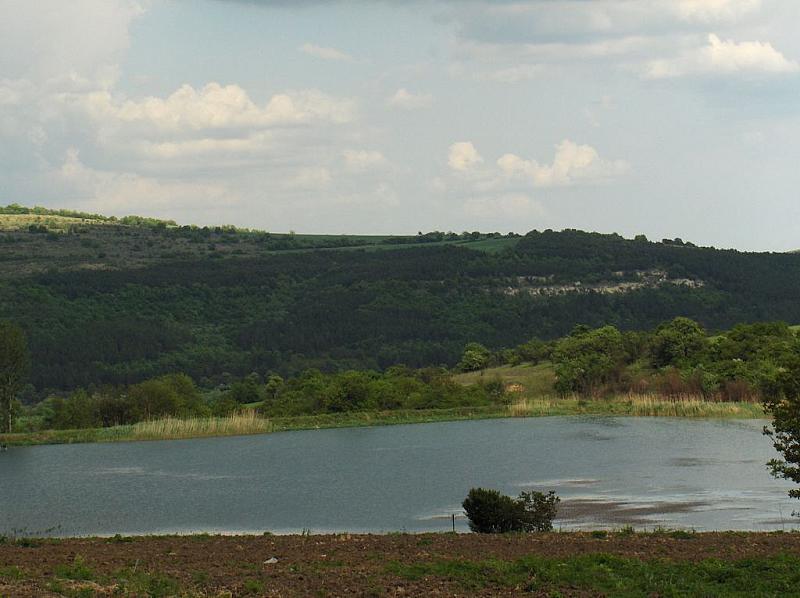 Нова Върбовка