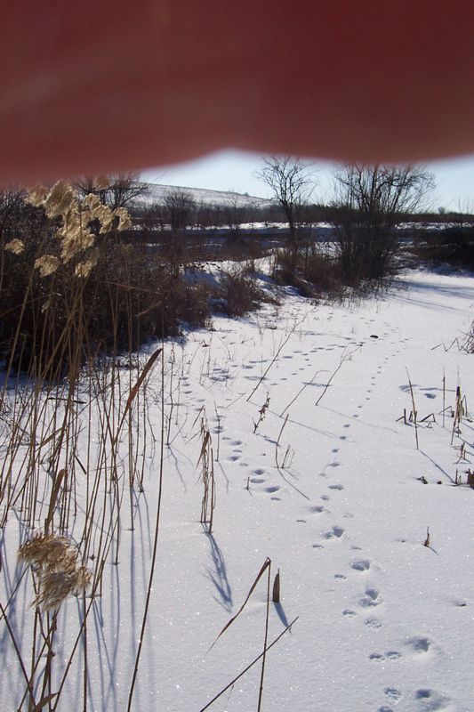 Следи в снега 1