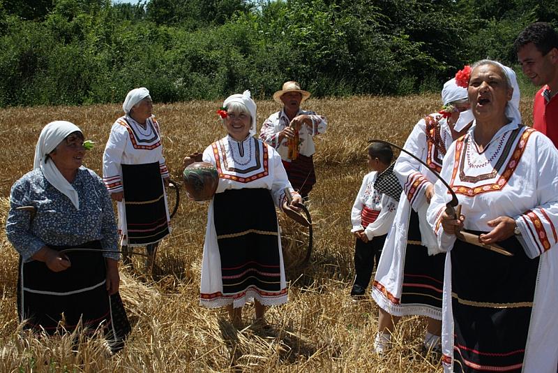 Жътва в село Бровица