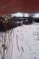 Следи в снега 1