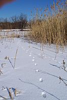 Следи в снега 2