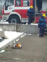 47473861 301273653848288 793078312640446464 n 1