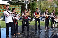 43880613 10205299137394440 1437524914021072896 o