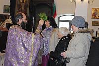 IMG 4468