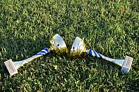 38963576 10205028358385134 6549537651353976832 o